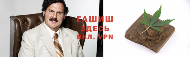 мдпв Белокуриха