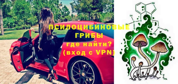 мдпв Белокуриха