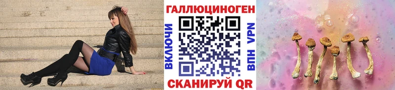 Галлюциногенные грибы Cubensis  цена   Кумертау 